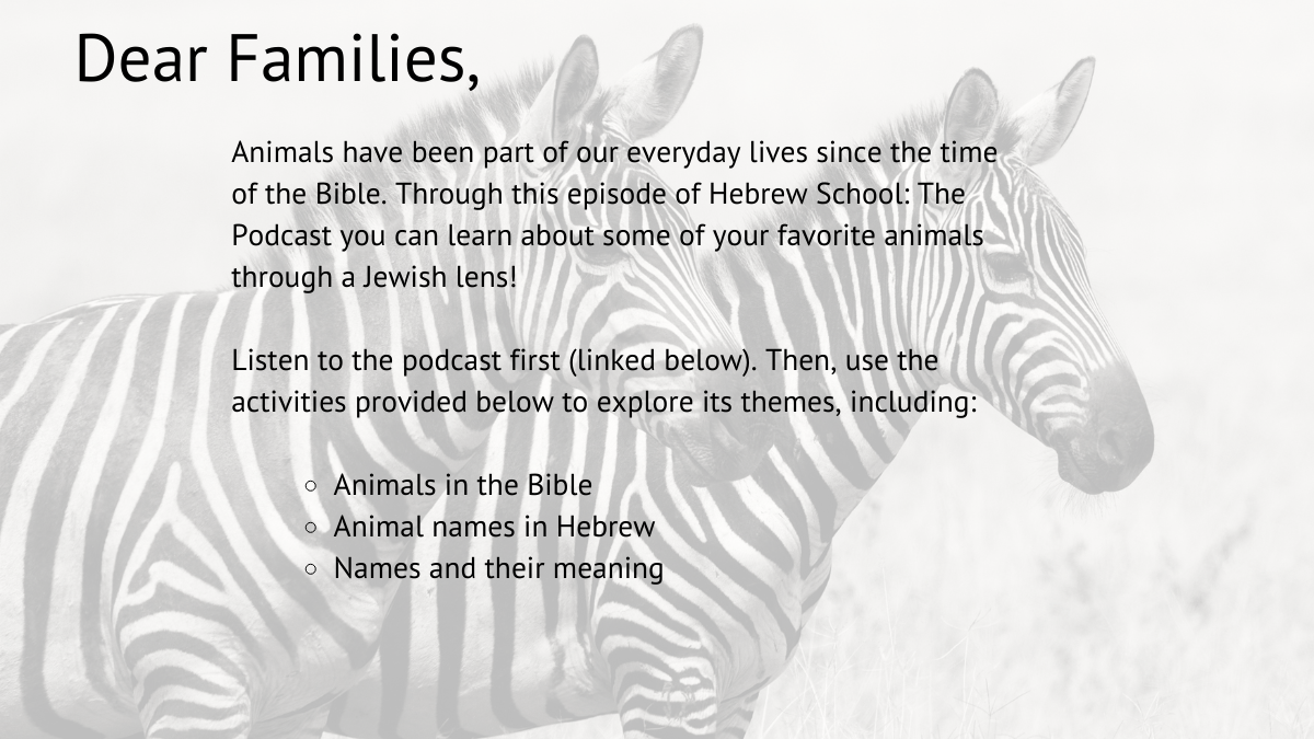 Animals Postcard - Hebrew School Podcast